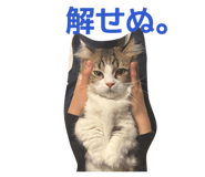 843040450