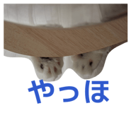 843040464