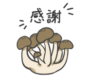 843040784