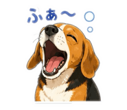 843040857