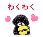 843040916