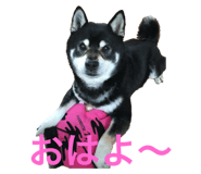 843041465