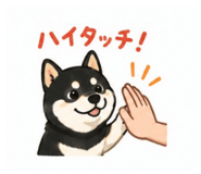 843041474