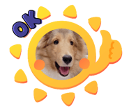 843041663