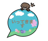 843041700
