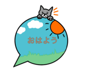 843041702