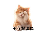 843041778