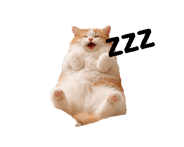 843041788