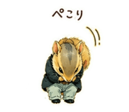 843042047