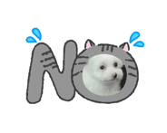 843044034