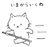 843044404