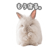 843044439