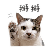 843046415