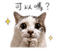 843046418