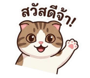 843046777