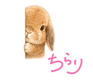843048750