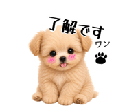 843048776