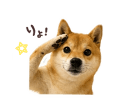 843049155