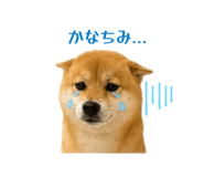 843049156