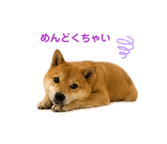 843049158