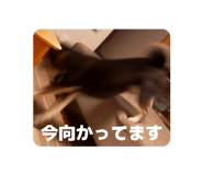843049253