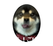 843049259