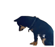 843049521