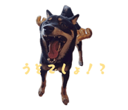 843049522