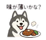 843049900