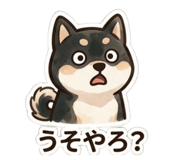 843050054