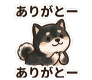843050055