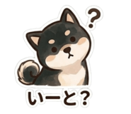 843050060