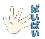 843050086