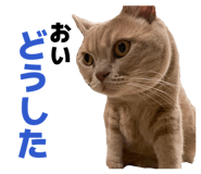 843050145