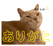 843050147