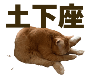 843050148