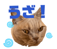 843050150