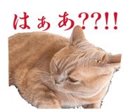 843050157