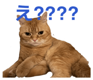 843050158