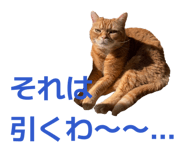 843050160