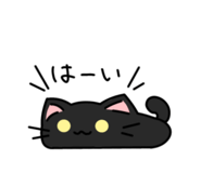 843050172