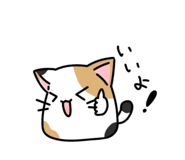 843050179