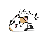 843050183