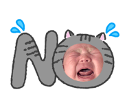 843050202