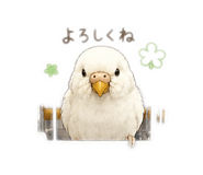 843050310