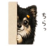 843050578