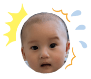 843050798
