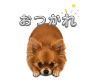 843050925