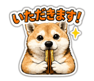 843051080