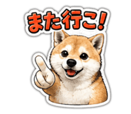 843051090